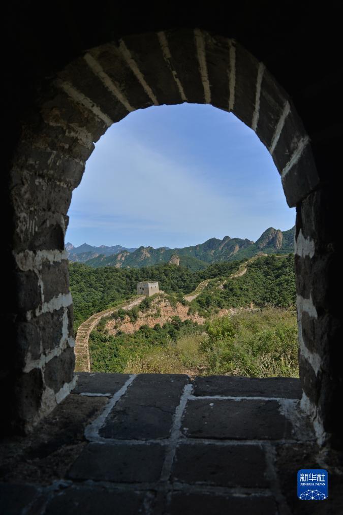 什么是手机水果机